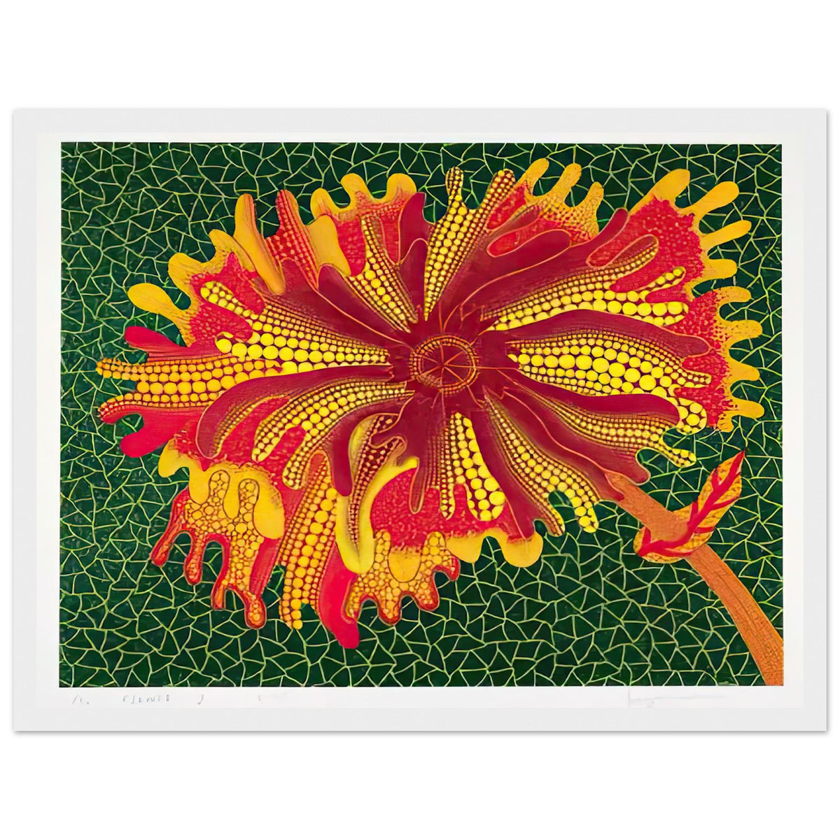Yayoi Kusama framed print — Flower (A) treats a single flowering motif as a complete visual world, white frame, 30x40 cm / 12x16″