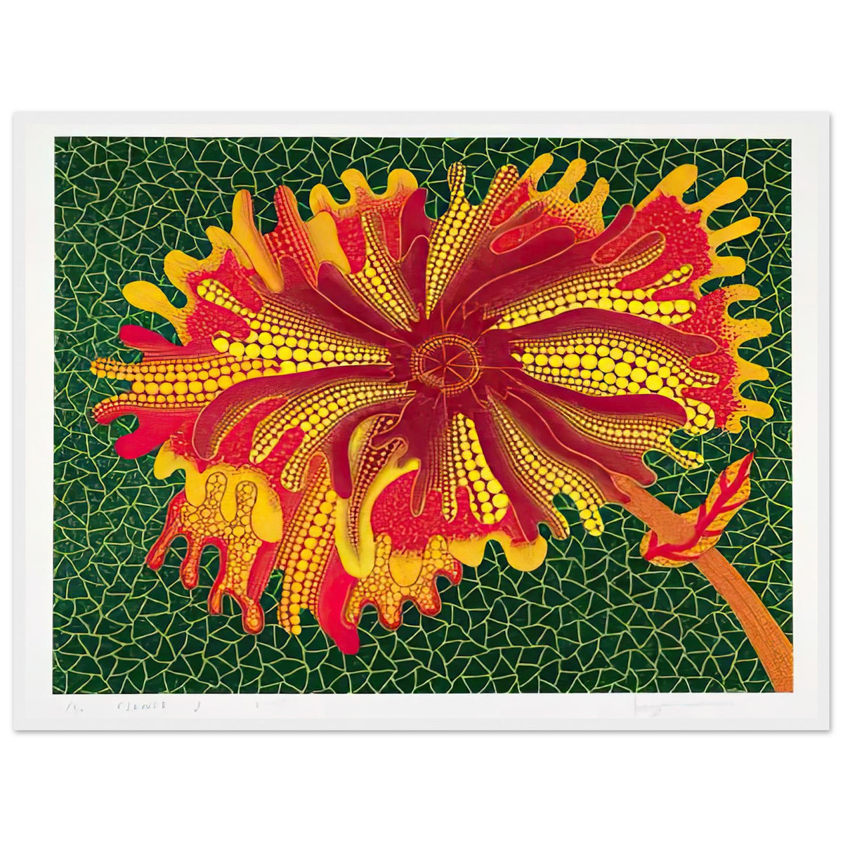 Yayoi Kusama framed print — Flower (A) treats a single flowering motif as a complete visual world, white frame, 60x80 cm / 24x32″