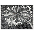 Yayoi Kusama poster — Flower (XL) treats a single flowering motif as a complete visual world, 15x20 cm / 6x8″
