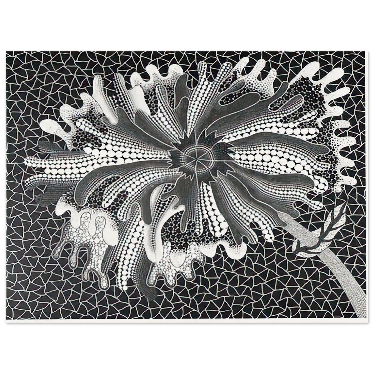 Yayoi Kusama poster — Flower (XL) treats a single flowering motif as a complete visual world, 15x20 cm / 6x8″